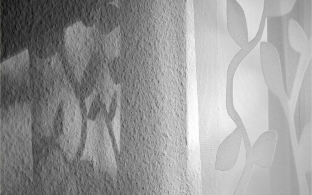 Oktober 2025 / Thema: SW Licht und Schatten Zuhause